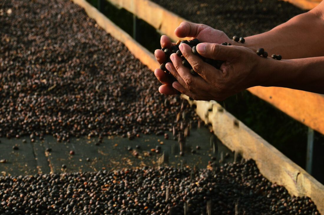 Brigantes Blend Nr.2 – 1.000g